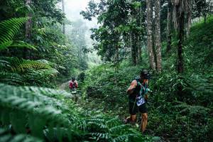 BIB: 
                            <button type="button" onclick="openModal(26359176)" class="btn btn-primary btn-sm float-right btn-popup" data-toggle="modal" data-target=".modal-high-quality">
                        <i class="fas fa-shopping-cart"></i> Add to Cart
                    </button>
                                            <button type="button" onclick="isThisMe(26359176, true)" class="btn btn-success btn-sm float-right btn-popup btn-isme hidden" data-toggle="tooltip" data-placement="bottom" title="นี่คือรูปของคุณใช่ไหม คลิกที่นี่เพื่อเอาเข้าอัลบั้ม">
                        <i class="fas fa-plus"></i> Add to album
                    </button>
                    <button type="button" onclick="isThisMe(26359176, false)" class="btn btn-warning btn-sm float-right btn-popup btn-isnotme hidden">
                        <i class="fas fa-ban"></i> Remove from album
                    </button>